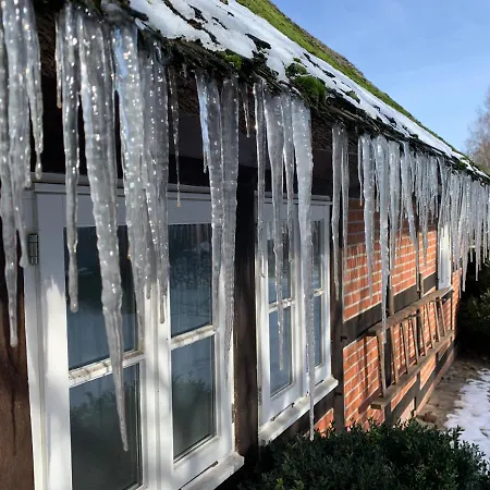 Blaue Grootdoor Lejlighed Schwanewede Eksteriør billede