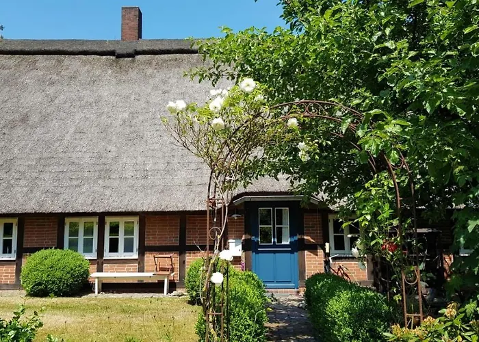 Blaue Grootdoor